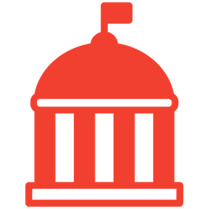 Government Icon